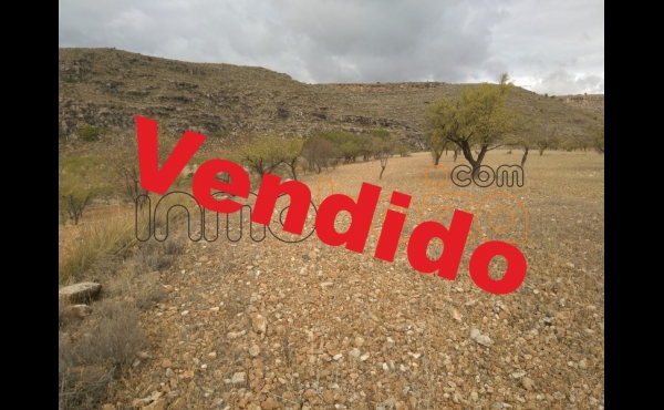 FINCA DE ALMENDROS